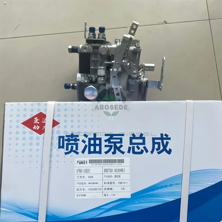 2Q18 BH2Q95R8 Fuel Injection Pump – Direct Fit For Shantui 2105 Diesel Engine factory