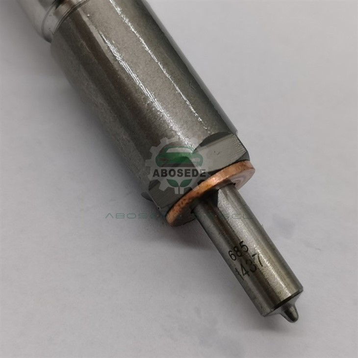 Product Spotlight: Bosch 0445110183 Common Rail Diesel Injector factory